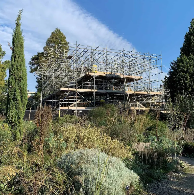 Botanical Gardens scaffolding project, photo 2 of 3